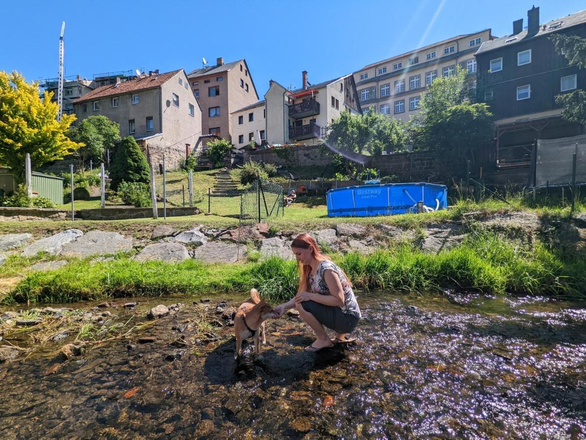 Famzi - Urlaubsmagie - Familienwohnung Mit Gemeinschaftsgarten, -Sauna & -Pool Sebnitz Exterior foto