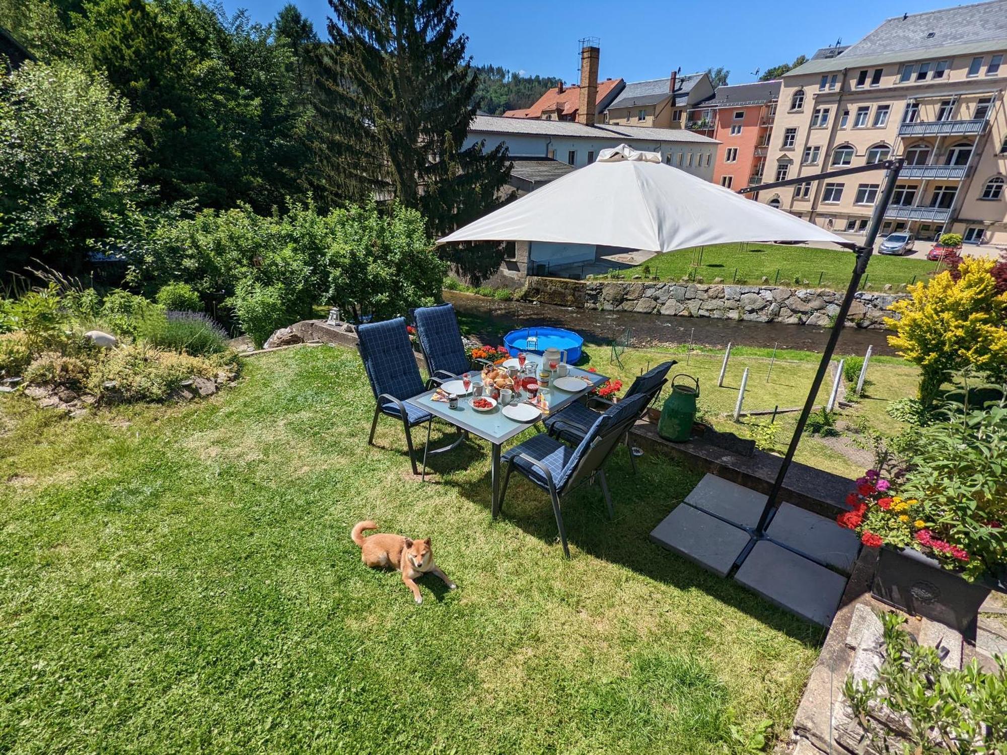 Famzi - Urlaubsmagie - Familienwohnung Mit Gemeinschaftsgarten, -Sauna & -Pool Sebnitz Exterior foto