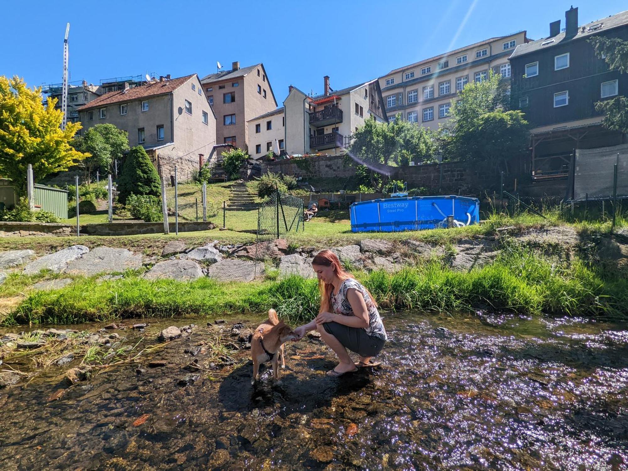 Famzi - Urlaubsmagie - Familienwohnung Mit Gemeinschaftsgarten, -Sauna & -Pool Sebnitz Exterior foto